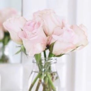 Meet your Posher, Sydney